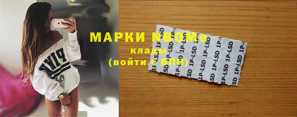 сатива Балахна
