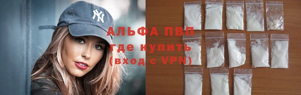 сатива Балахна