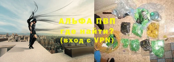 сатива Балахна